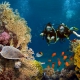 The most incredible superyacht wreck dives in the world by SCS Yachting